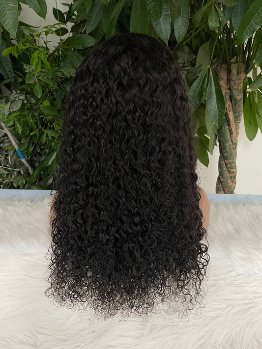 Water Wave Curly 100% Human Hair Lace Frontal Wig 10-18 Inch 200 Density HD Lace 13x4-13X6